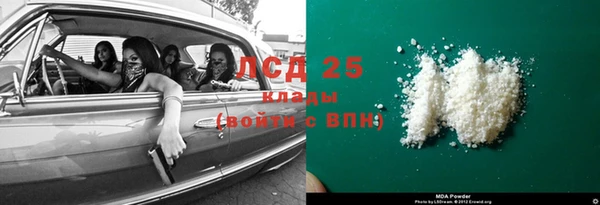 шишки Инта