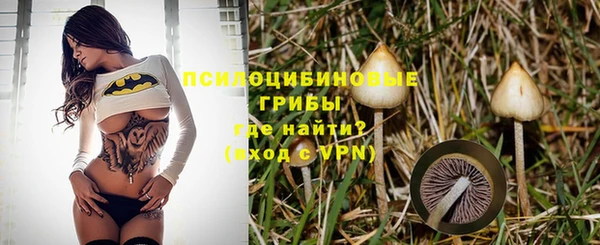 дживик Бугульма