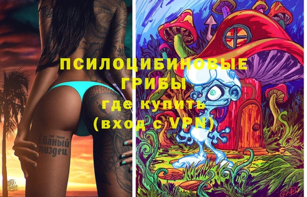 шишки Инта