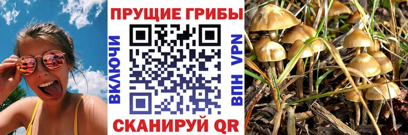 ссылка на мегу вход Неман Псилоцибиновые грибы Magic Shrooms